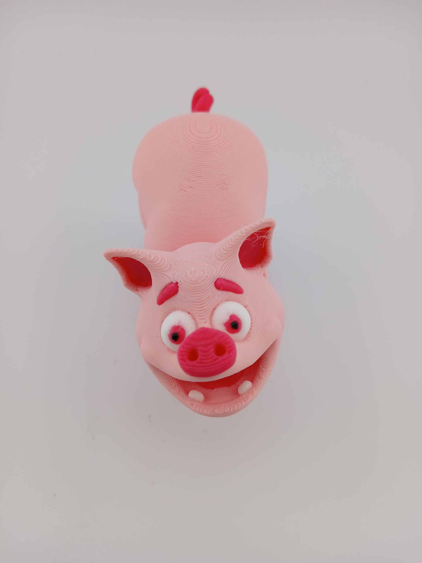 Pig